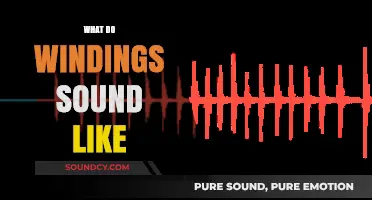 Unraveling the Unique Sounds of Windings: A Sonic Exploration