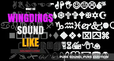 What Do Wingdings Sound Like? Decoding the Mystery of Typographic Noises