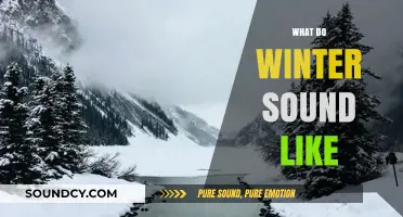 Winter's Symphony: Exploring the Sounds of the Silent Season