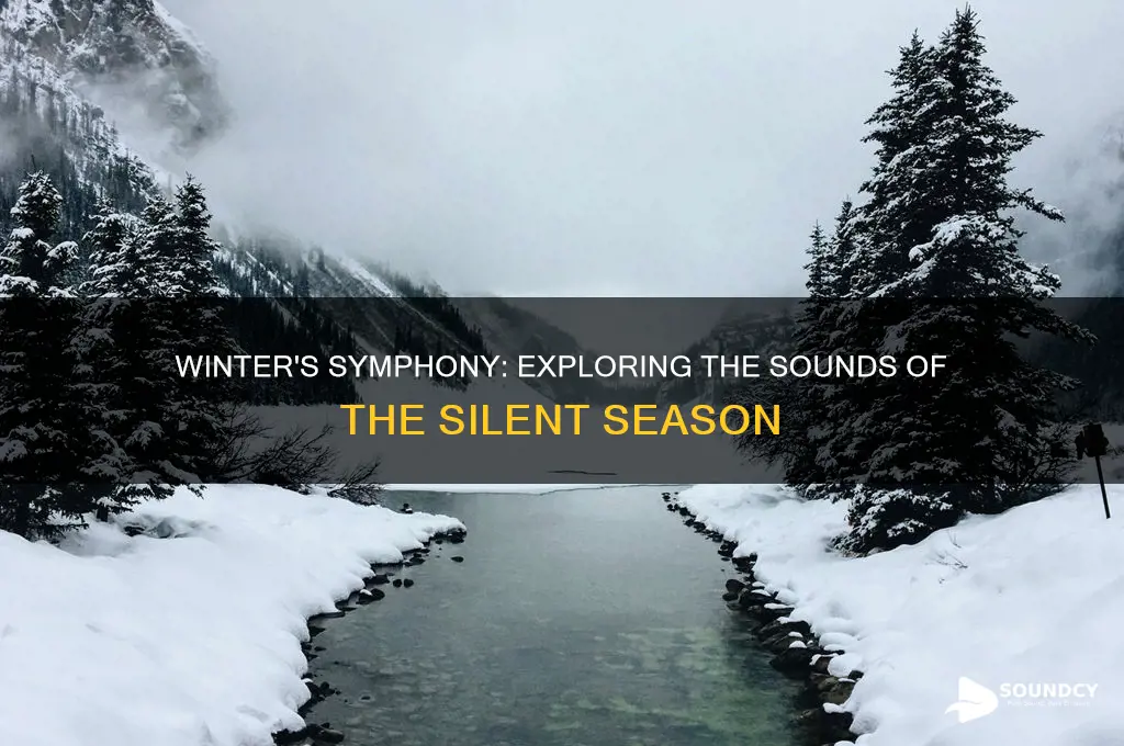 what do winter sound like
