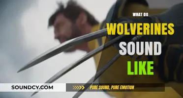 Unveiling the Unique Vocalizations: What Do Wolverines Sound Like?