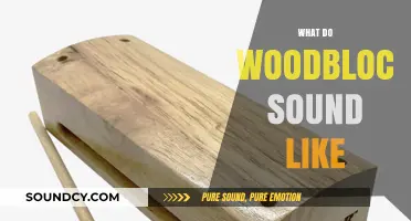 Exploring the Unique, Resonant Sound of Traditional Woodblock Percussion