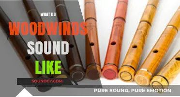 Exploring the Rich, Expressive Tones of Woodwind Instruments: A Sonic Journey