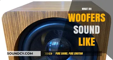 Exploring the Deep, Rich Sounds of Woofers: What to Expect