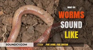 Unveiling the Mysterious Sounds of Earthworms: What Do Worms Sound Like?