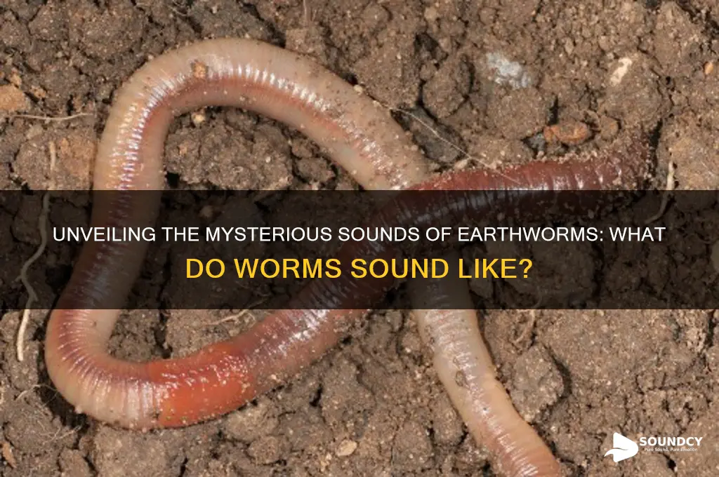 what do worms sound like