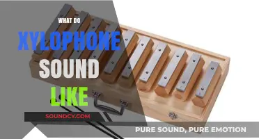 Exploring the Unique, Bright, and Percussive Sound of Xylophones