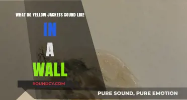 Decoding the Buzz: Yellow Jackets' Noisy Wall Invasion Explained