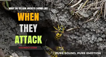 The Buzz of Danger: Yellow Jackets' Attack Sounds Explained