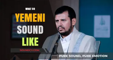 Exploring the Unique Yemeni Accent: How Do Yemenis Sound?