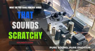 Echoes of the Past: The Charm of Scratchy Vintage Audio