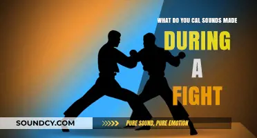 Echoes of Conflict: Understanding the Sonic Language of Fights