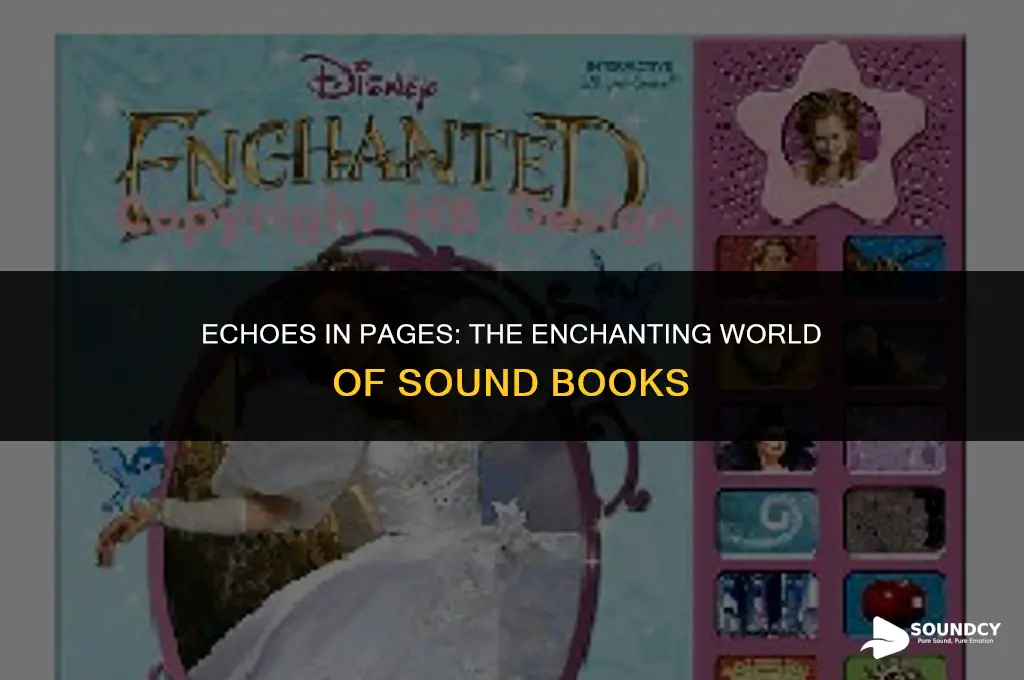 what do you call a book that makes sounds