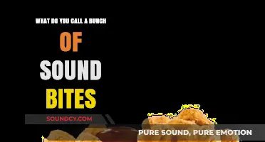 Echoes in Bytes: A Collection of Sonic Nuggets