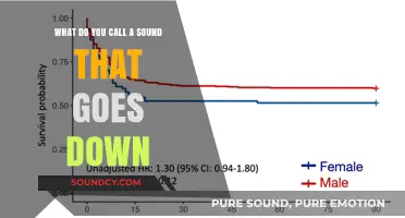 Exploring the Sonic Spectrum: A Dive into Descending Sounds