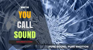 Unraveling the Mystery: What Do You Call Sound and Its Essence?