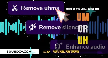 Exploring the Intricacies of Filler Sounds: Beyond 'Um' and 'Uh