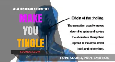 Exploring the Phenomenon of Tingling Sounds: A Sonic Journey