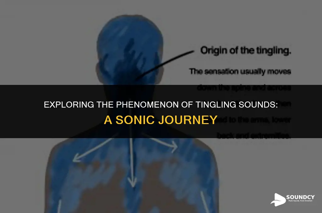 what do you call sounds that make you tingle