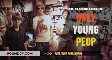 Sonic Trends: Decoding the Unique Audio Preferences of Youth Culture