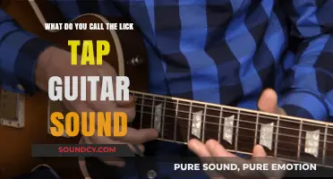 Exploring the Sonic World: What's That Lick, Tap, Guitar Sound?