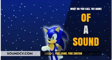 Exploring Sonic Lexicon: What Do You Call the Name of a Sound?