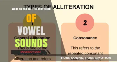 Echoes in Language: Exploring the Repetition of Vowel Sounds