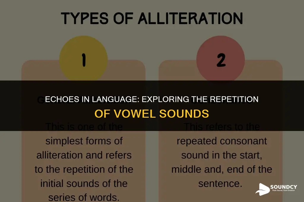what do you call the repetition of vowel sounds