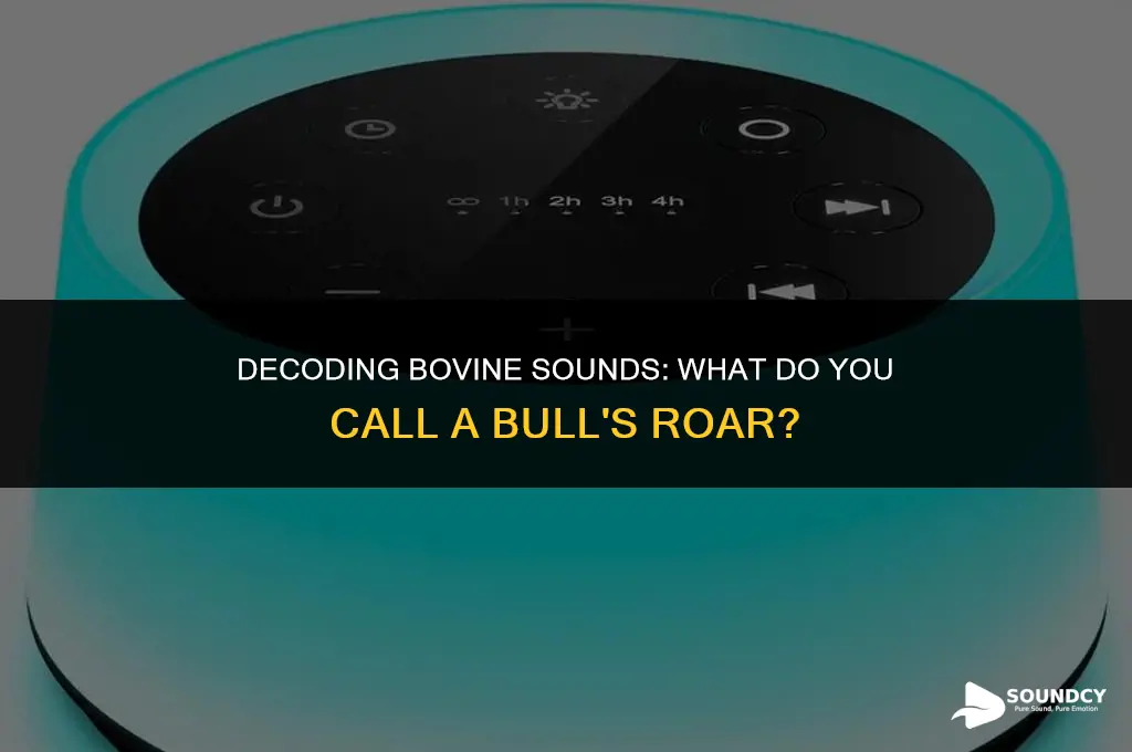 what do you call the sound a bull makes