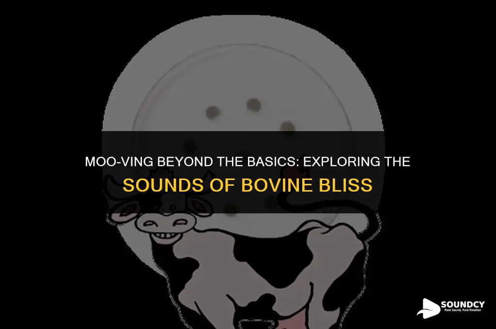what do you call the sound a cow makes