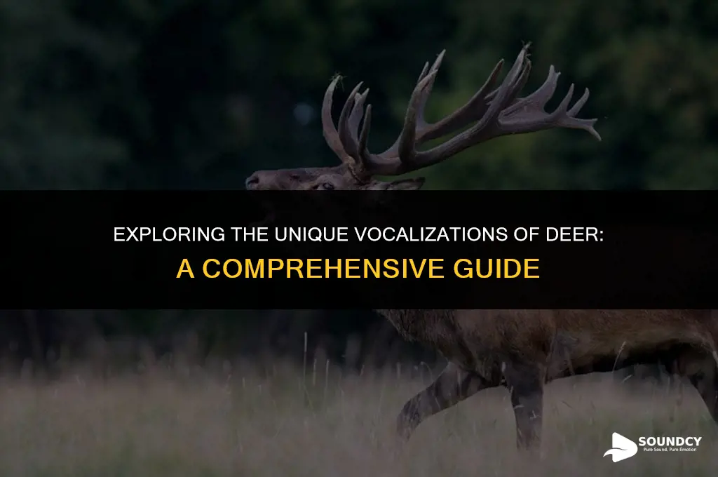 what do you call the sound a deer makes