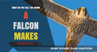 The Distinctive Call of the Falcon: A Sonic Guide