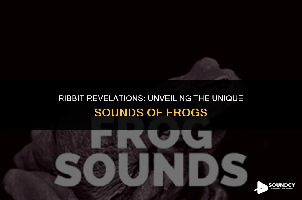 what do you call the sound a frog makes