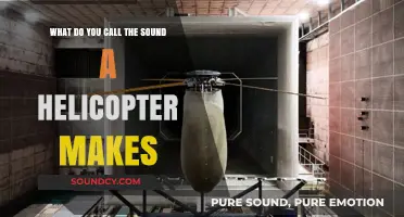 Decoding the Distinctive Roar: What's the Name of That Helicopter Sound?