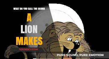 Roaring Wonders: Unraveling the Majestic Sound of Lions