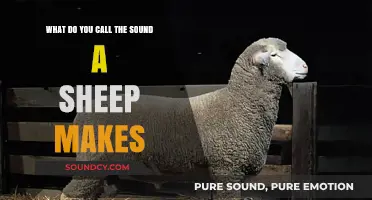 Exploring the Unique Vocalizations of Sheep: A Comprehensive Guide