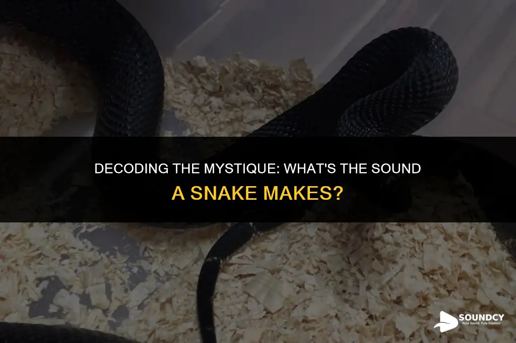 what do you call the sound a snake makes
