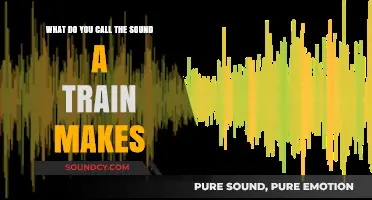 The Rhythmic Rumble: Exploring the Sonic Signature of Trains