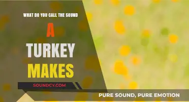 Gobble Gobble: The Unique Sound of a Turkey Explained