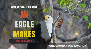 The Majestic Cry: Understanding the Eagle's Call
