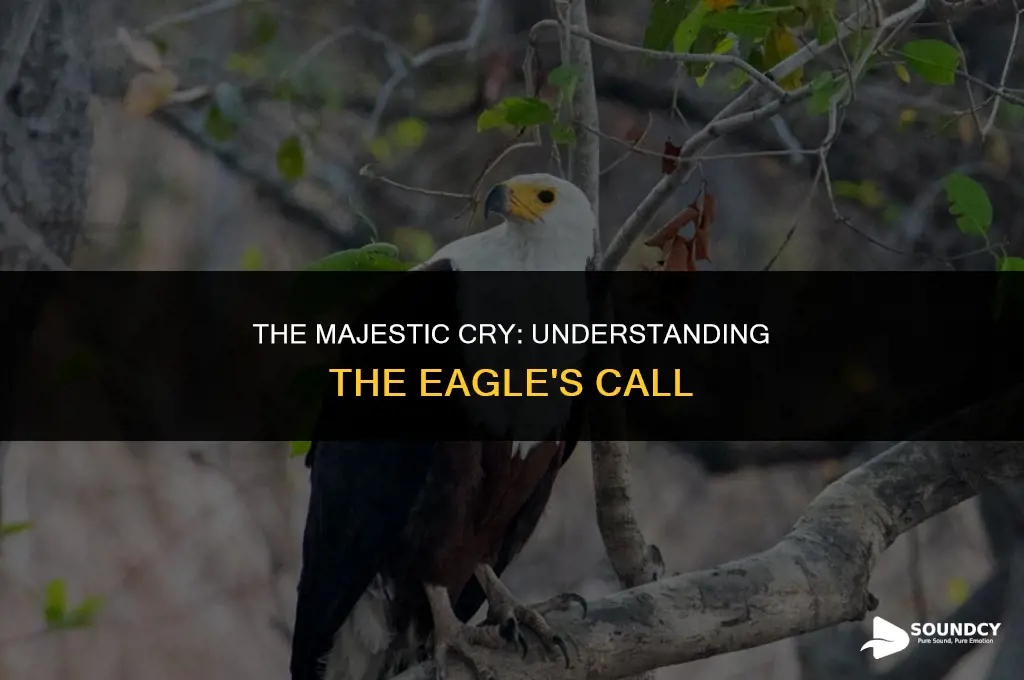 what do you call the sound an eagle makes