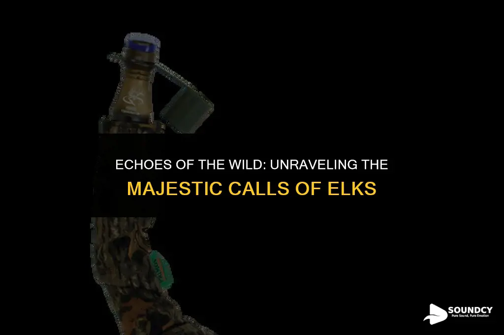 what do you call the sound an elk make
