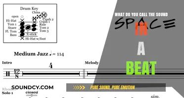 Rhythmic Elements: Exploring the Sonic Components of Beats