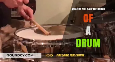 Rhythmic Resonances: Exploring the Sonic World of Drums