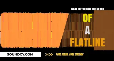 Echoes of Stillness: The Haunting Sound of a Flatline