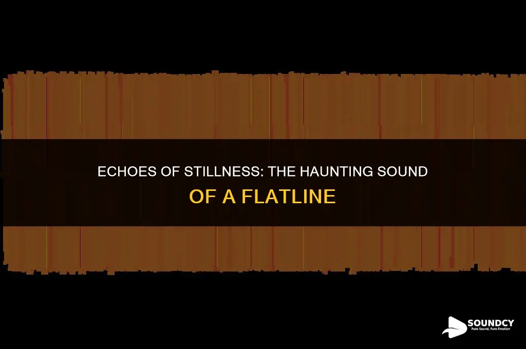 what do you call the sound of a flatline