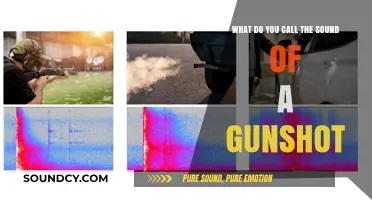 Echoes of Impact: Exploring the Terminology of Gunshot Sounds