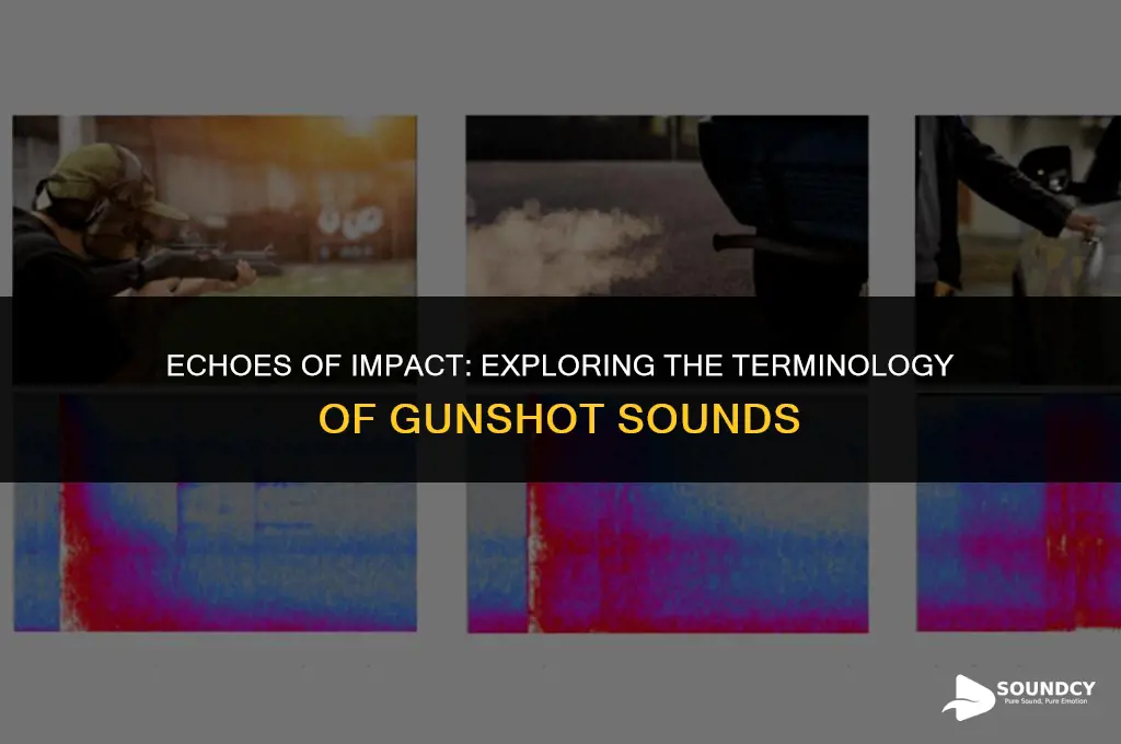 what do you call the sound of a gunshot