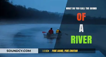 The Melodic Babble: Exploring the Sonic Lexicon of Rivers