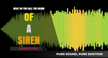 Decoding the Distinctive Wail: What Do You Call the Sound of a Siren?